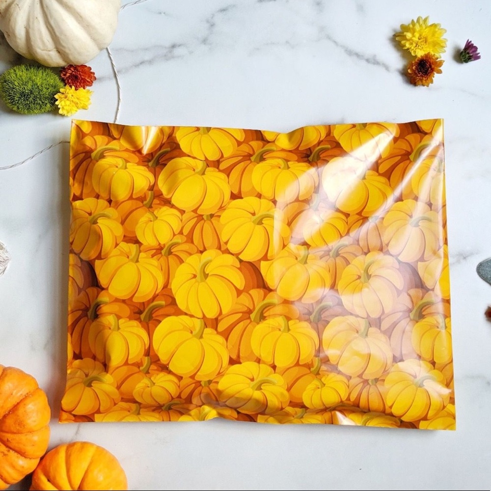 25 10X13 Poly Mailers Pumpkin, Shipping Envelopes Bags PRICE IS FIRM Fall - Picture 2 of 11